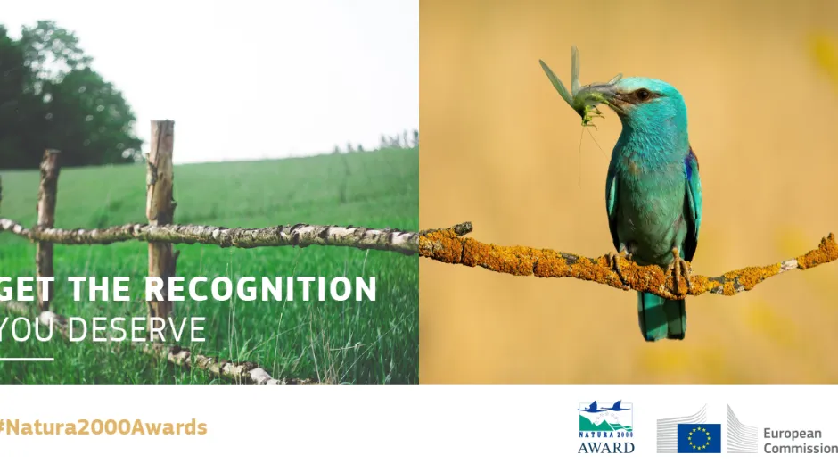 Natura_2000_web_banner_bird_1200px